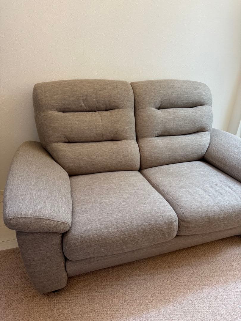 (引取り限定)ニトリ 2人用 ソファ