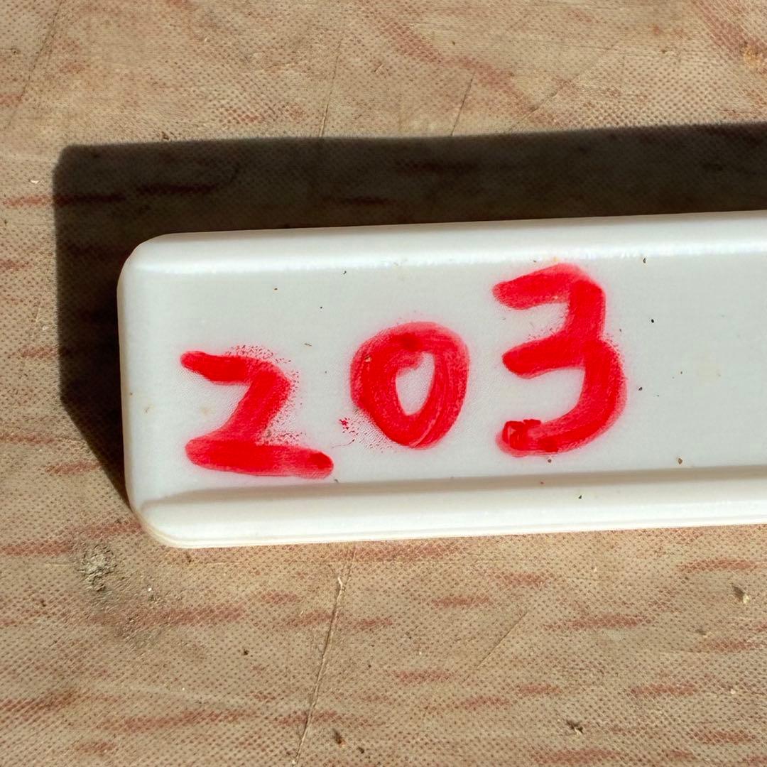 ま*️様 ❤️根充実❤️新芽❤️203タグ付【レッドイルミリオン】シャイニングレ