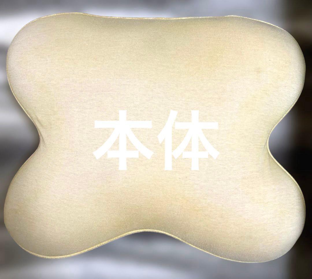 テンピュールオンブラシオピロー