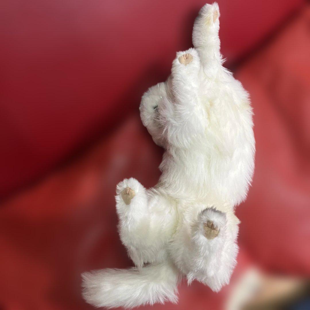 激レア！リアル！レディー・マリア ペルシャ猫 約60センチ - メルカリ