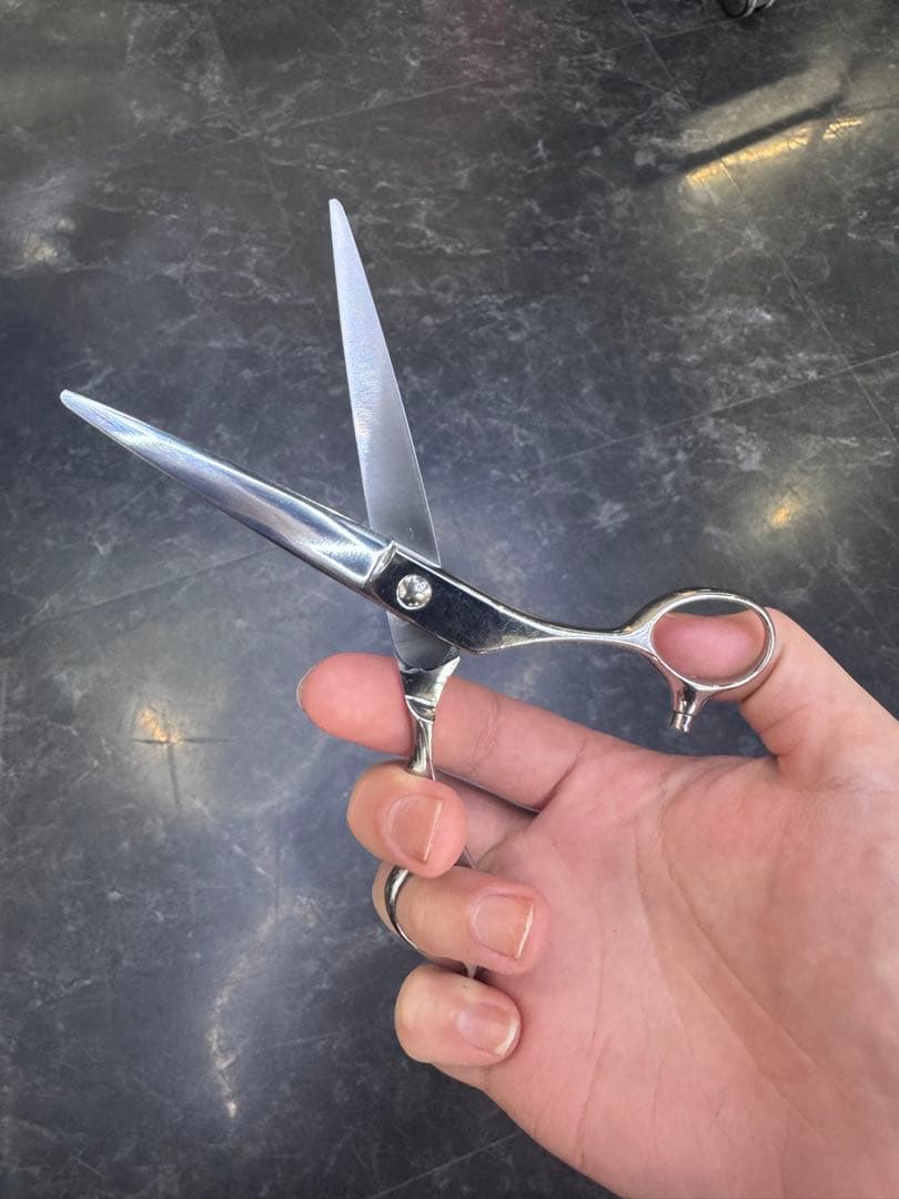 アルファシザー