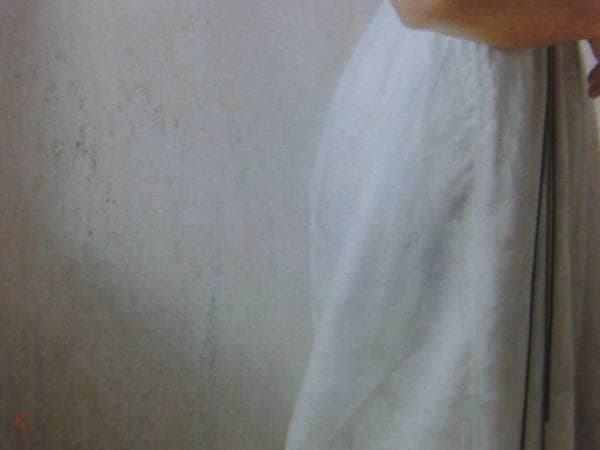 塩谷 亮、朝陽、超希少額装用画版、新品額装付