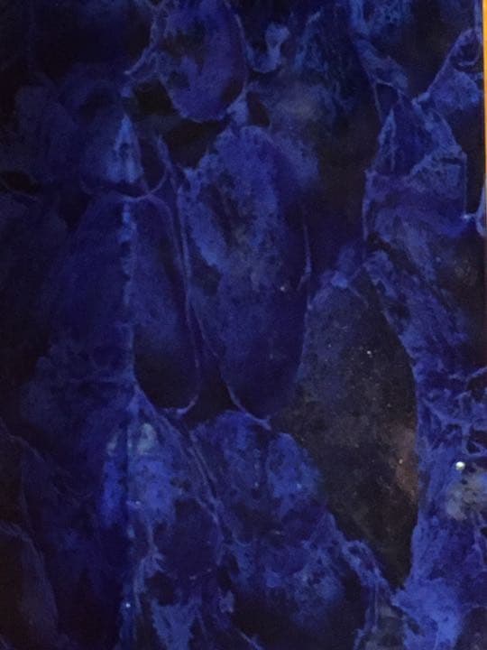 【縁起物】藍　水晶　ポイント　六角柱　パワーストーン　K9