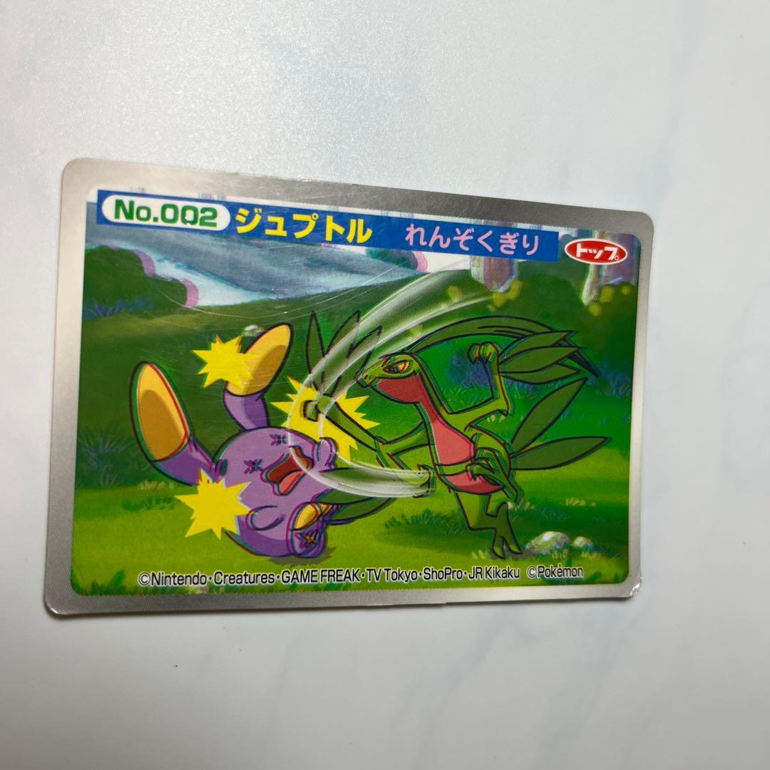 ポケモンアニメ版トップサン ジュプトル3Dカード アドバンス