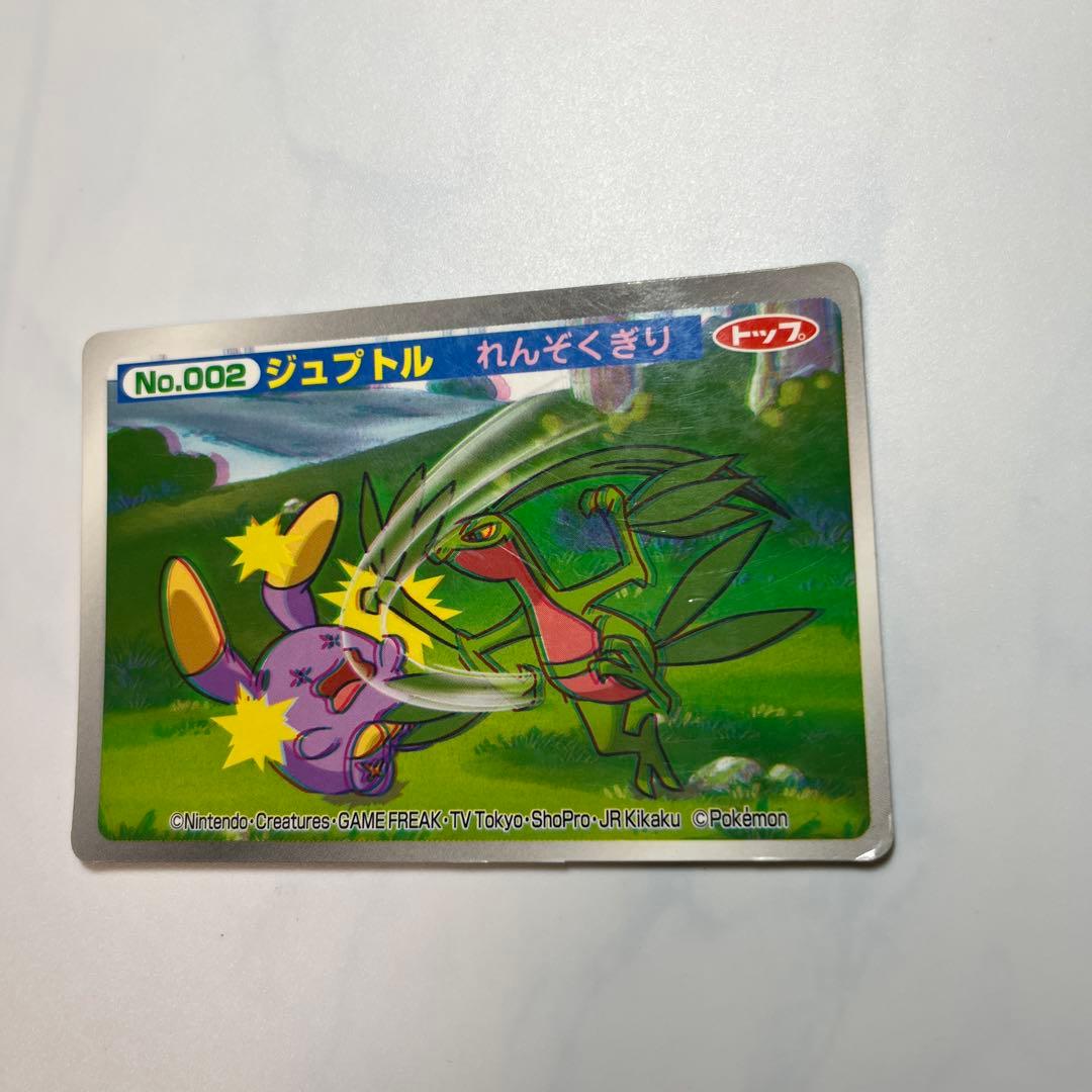 ポケモンアニメ版トップサン ジュプトル3Dカード アドバンス