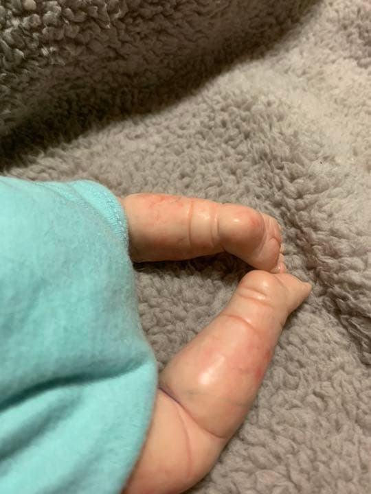 【ヒトガタリ屋 昭和通り】来年度オーダー受付開始