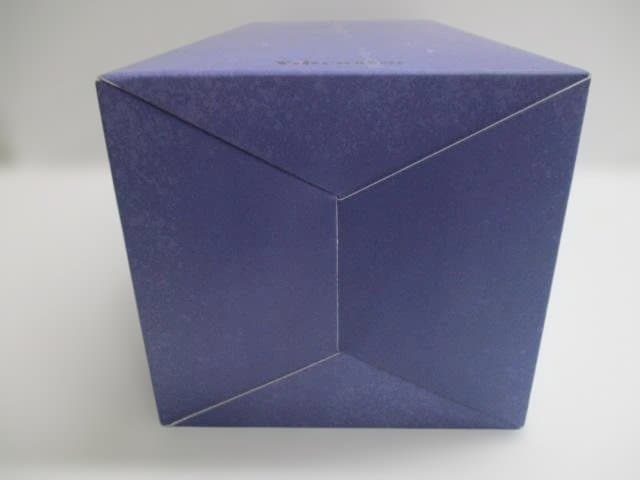 【未開封品】聖処理シスター ペトロニーユ