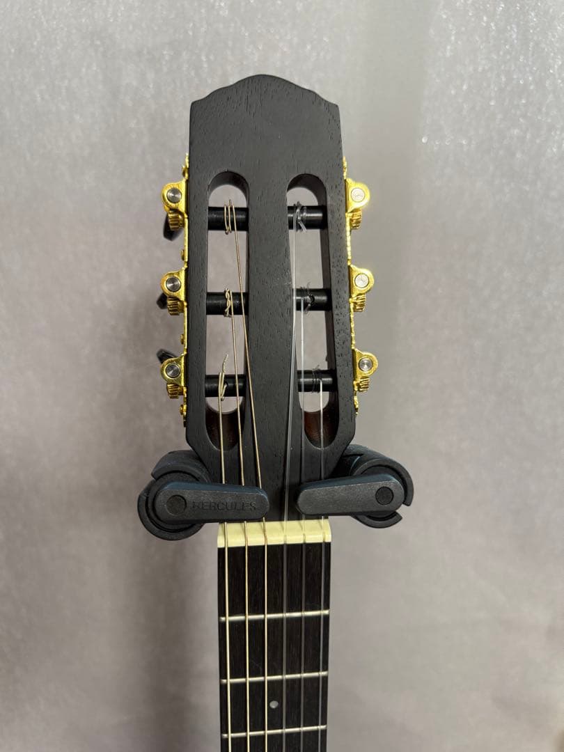 Nylon Electric Guitar サイレントソリッドエレガット