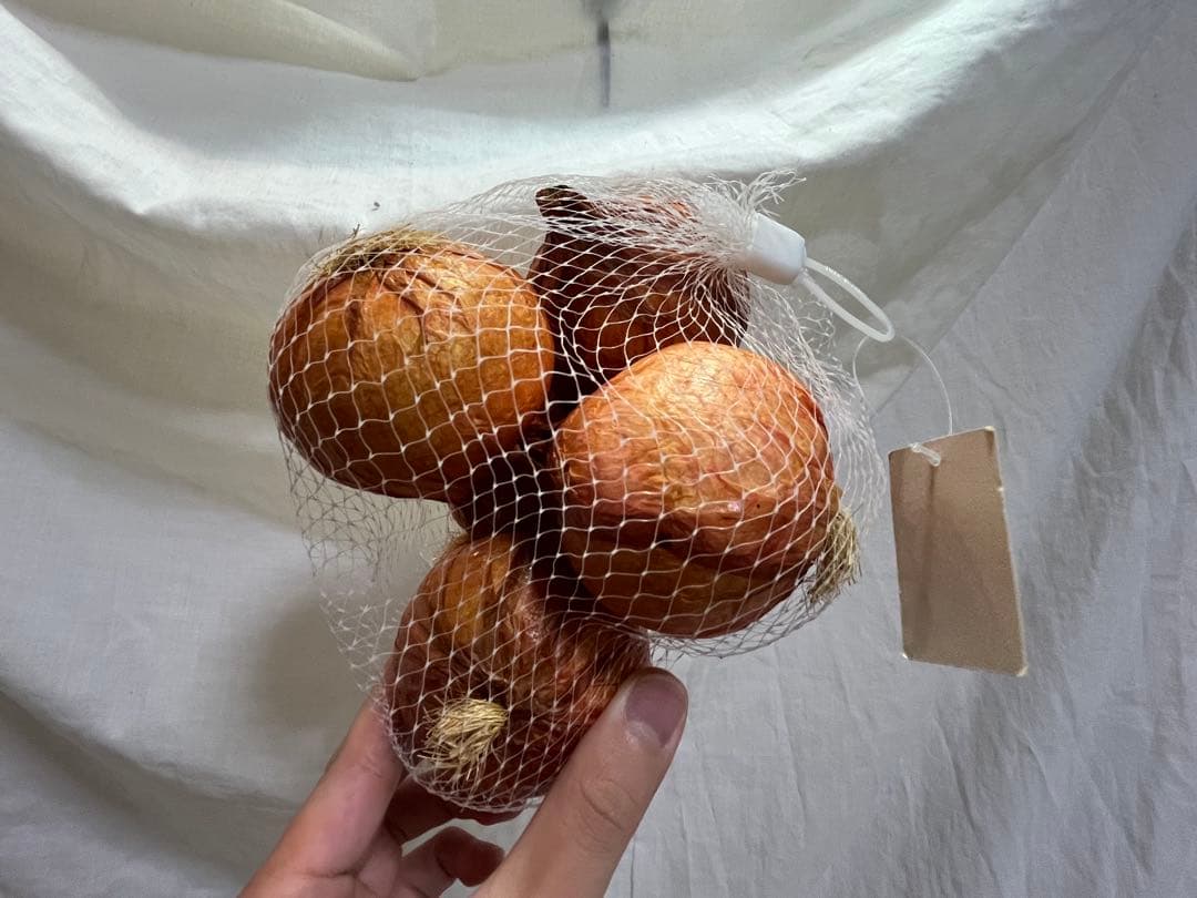 展示品 タマネギ 食品サンプル 56個入 飲食 小物 雑貨 イメージ