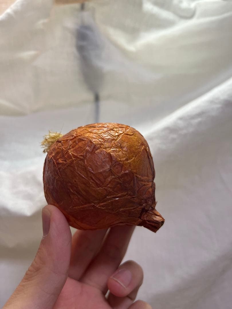 展示品 タマネギ 食品サンプル 56個入 飲食 小物 雑貨 イメージ