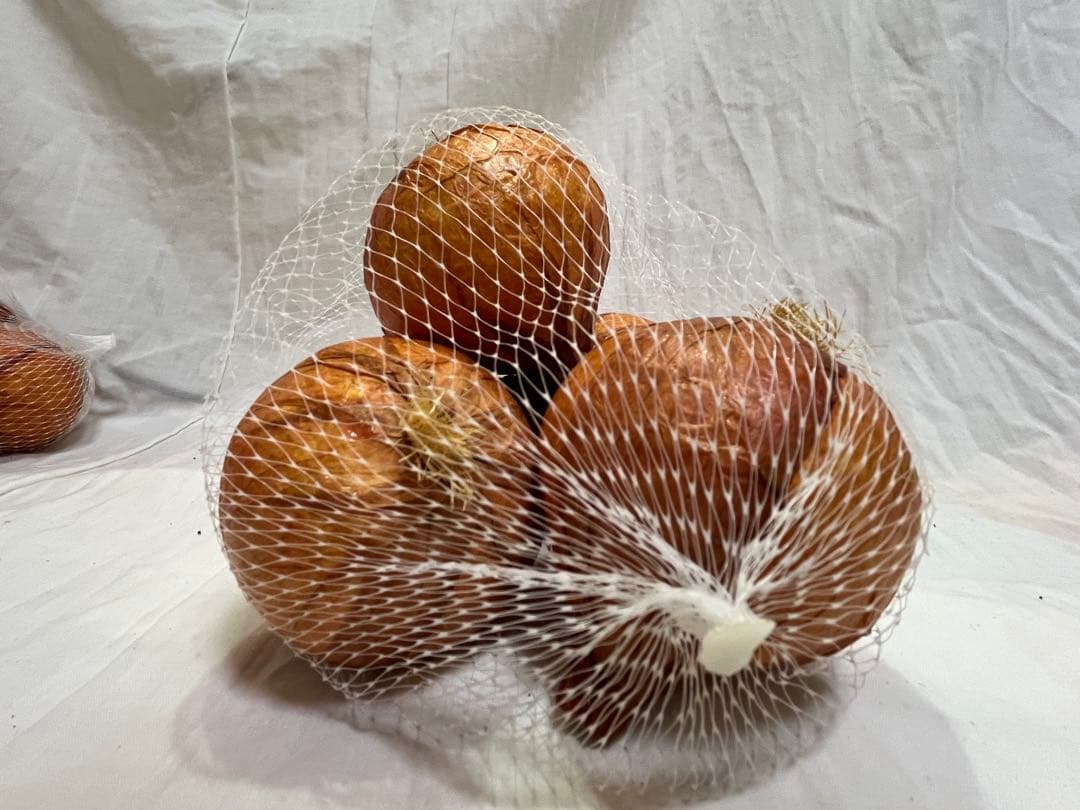 展示品 タマネギ 食品サンプル 56個入 飲食 小物 雑貨 イメージ