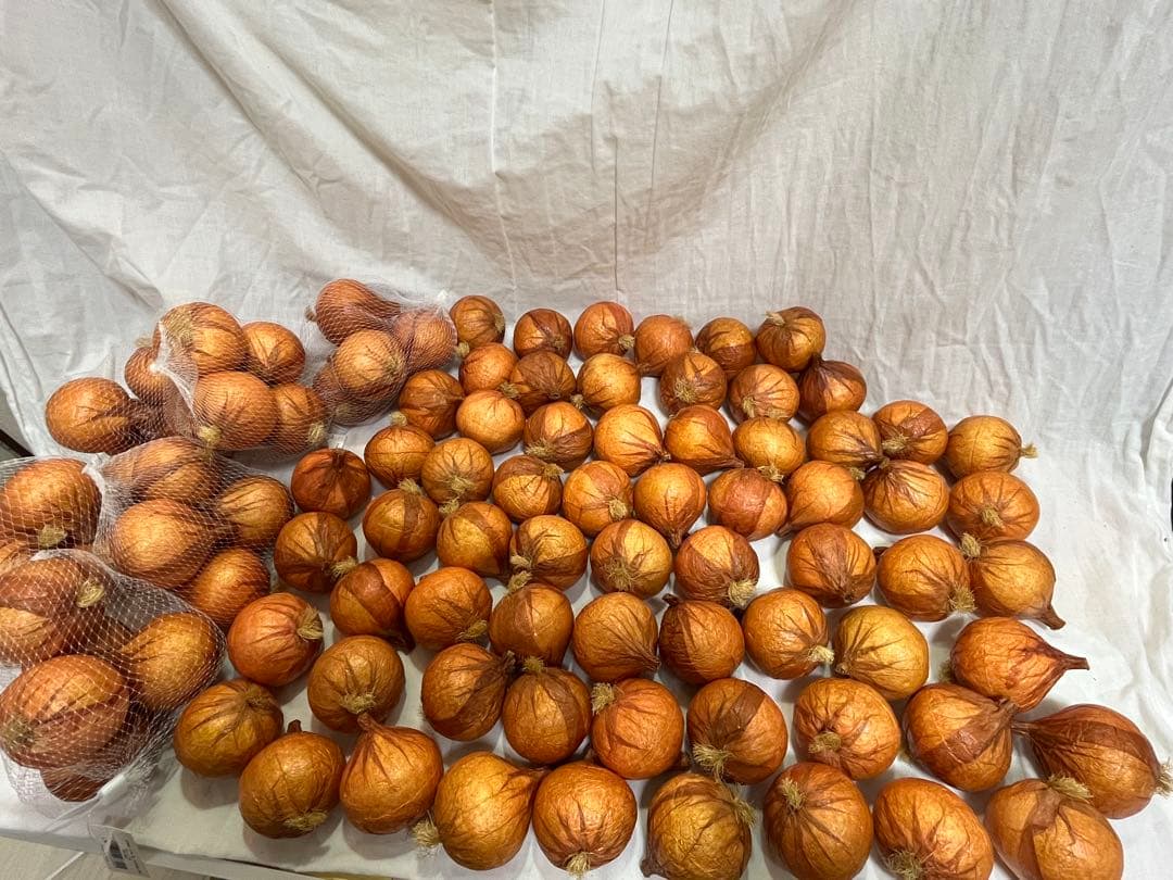 展示品 タマネギ 食品サンプル 56個入 飲食 小物 雑貨 イメージ