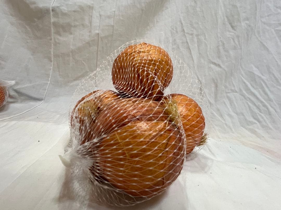 展示品 タマネギ 食品サンプル 56個入 飲食 小物 雑貨 イメージ