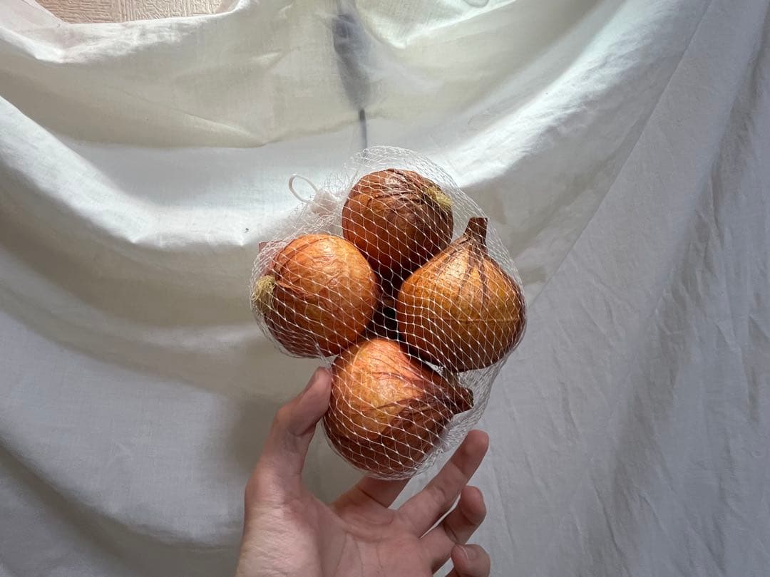 展示品 タマネギ 食品サンプル 56個入 飲食 小物 雑貨 イメージ