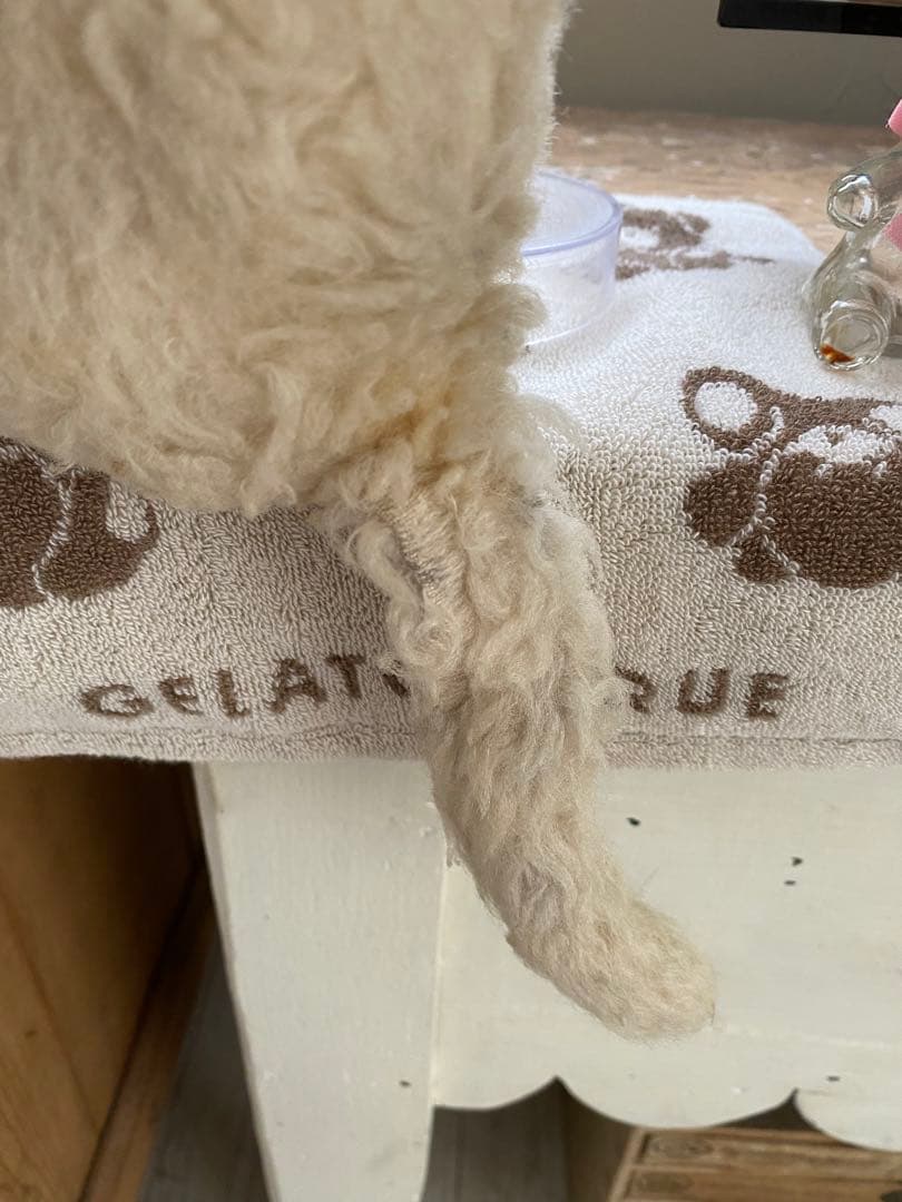 アンティーク　猫