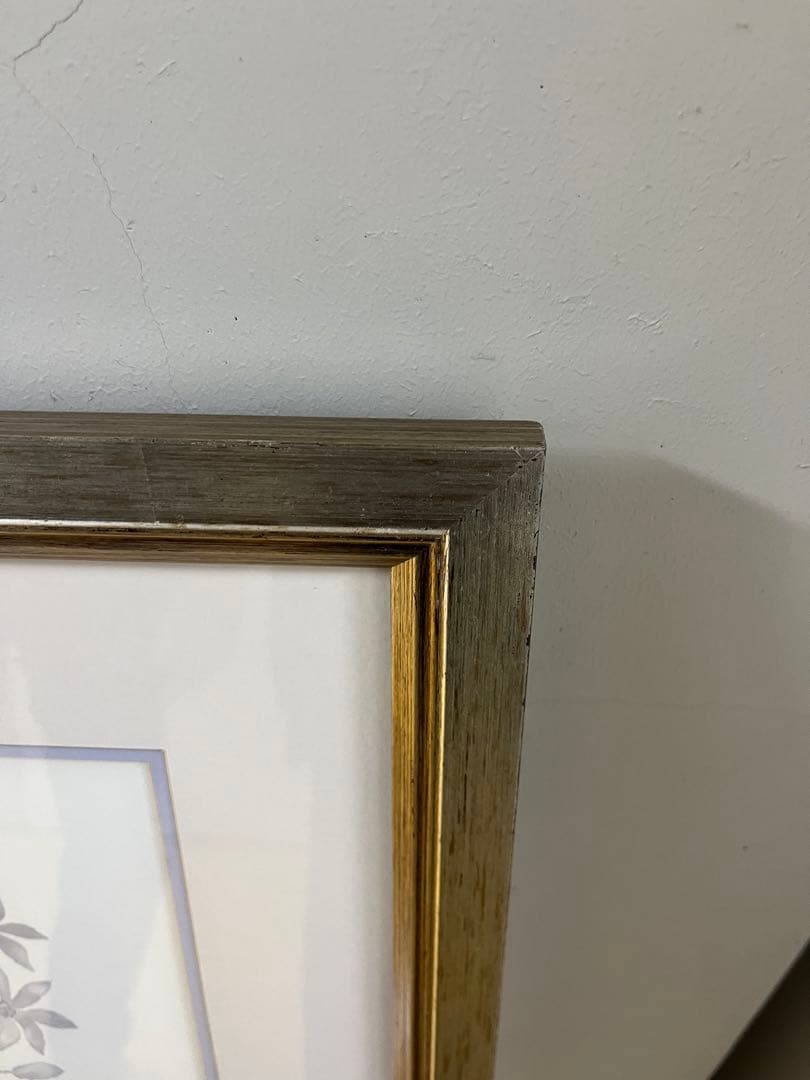 ローラアシュレイ Ken Riley 植物スケッチ - メルカリ