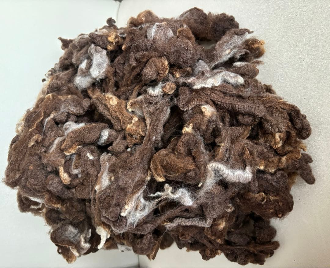 ナチュラル羊毛 (羊種 ボーダーレール )白250g、茶420g、手紡ぎ糸90g