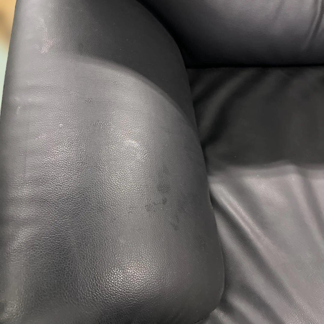 NITORI ニトリ 2人掛けソファー インテリア 家具