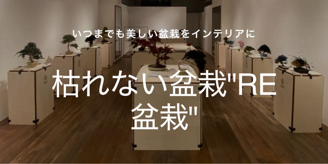 【激レア】RE BONSAI 九谷焼 RE盆栽 青【Man 岩本照愛用】