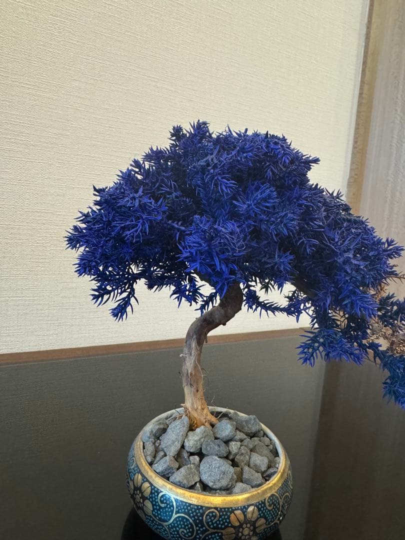 【激レア】RE BONSAI 九谷焼 RE盆栽 青【Man 岩本照愛用】