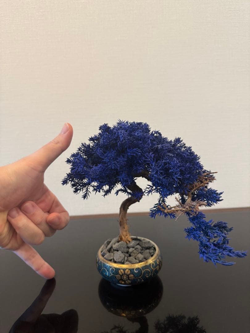 【激レア】RE BONSAI 九谷焼 RE盆栽 青【Man 岩本照愛用】