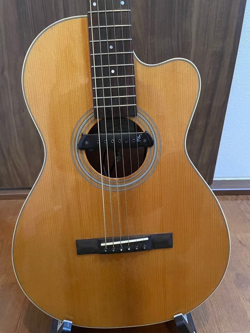 Recording King RP1-16c / Adeline pickup - メルカリ