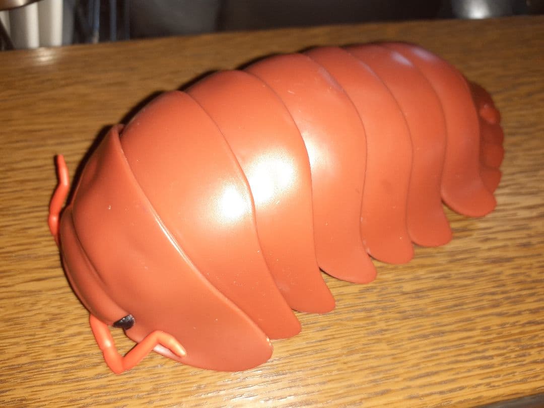 だんごむし06 【フチゾリネッタイコシビロダンゴムシ レッドブラウン