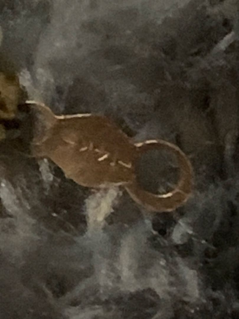 14Kブレスレット