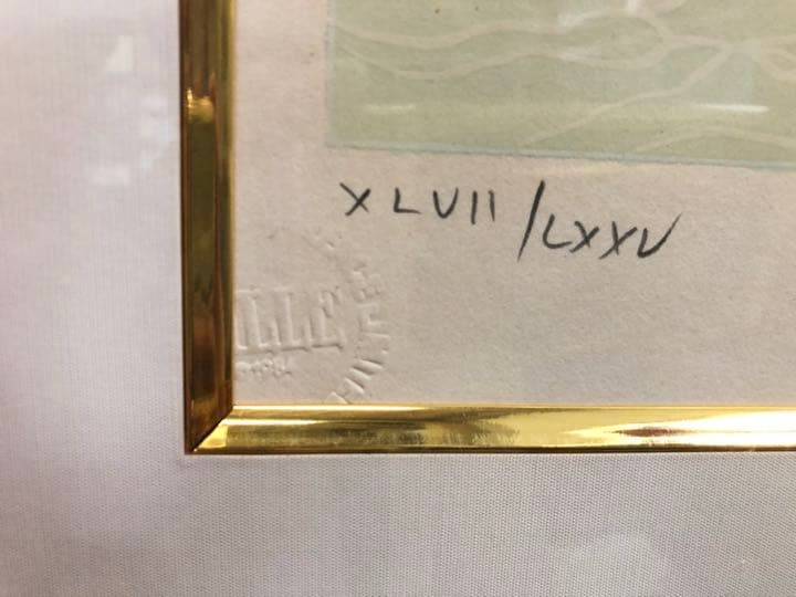 山形博導 シルクスクリーン グリーンドルフィン - メルカリ