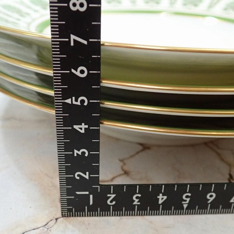 RU-6207　リチャードジノリ　パルメッテ　エメラルド　スーププレート4客