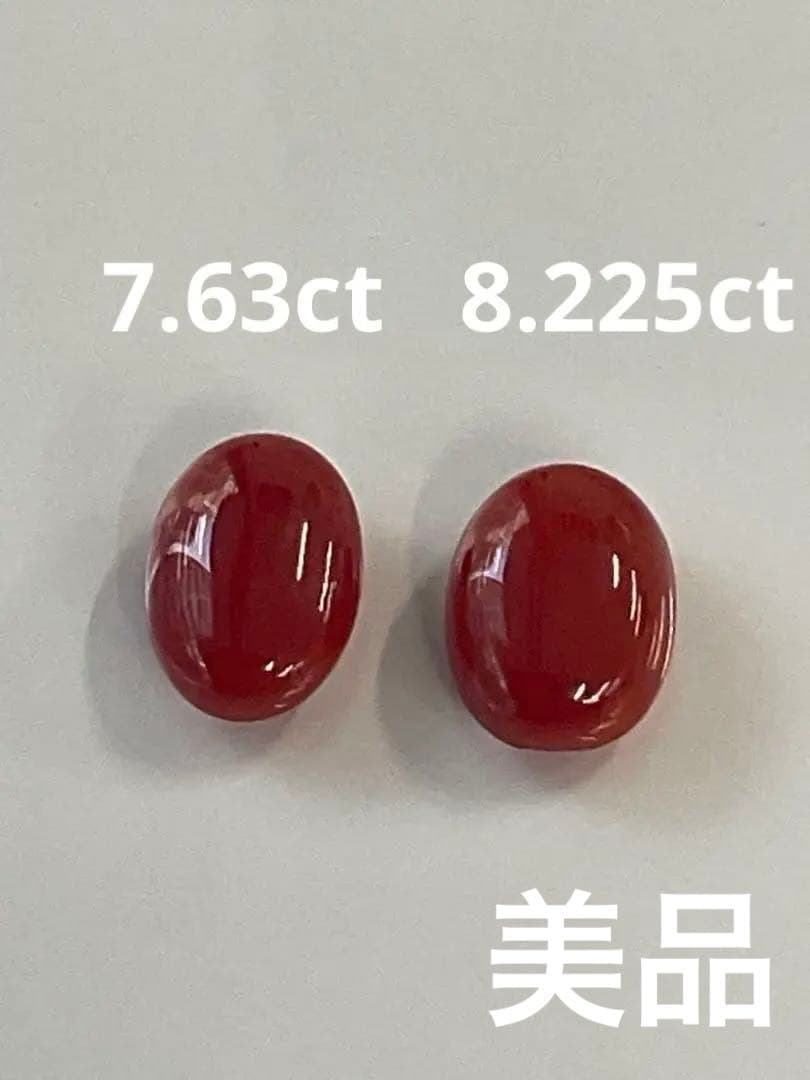 赤珊瑚ルース 2個セット 高知産 - メルカリ