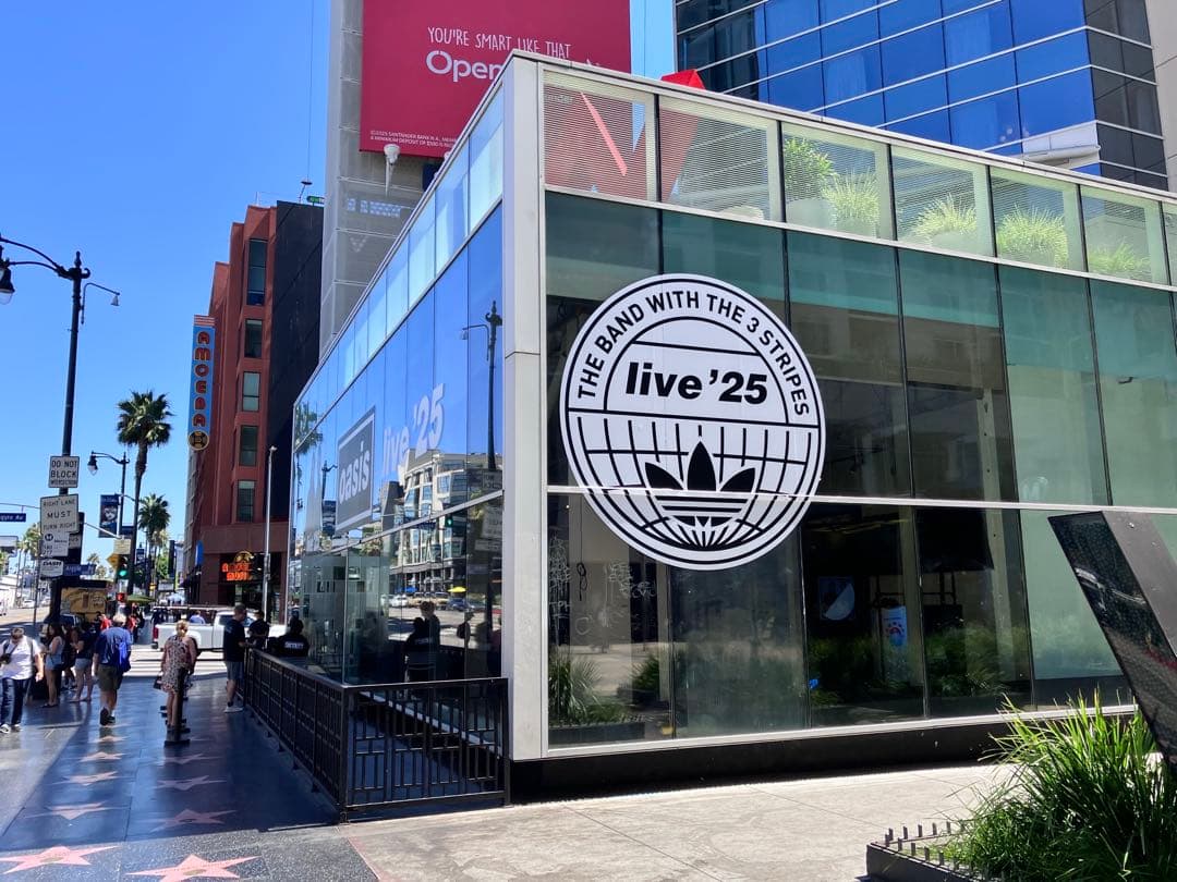 oasis live '25 Tシャツ S ホワイト