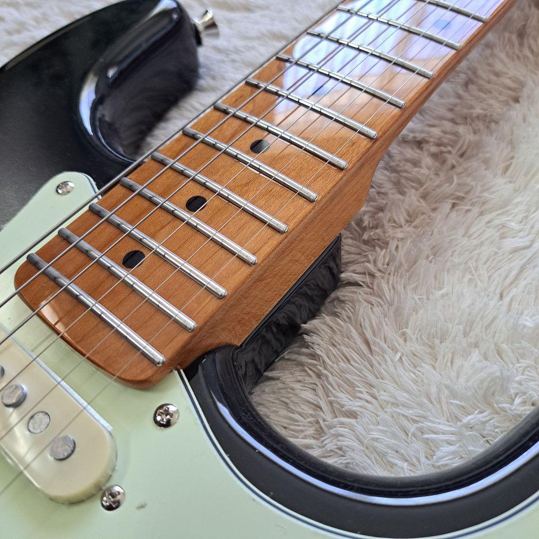 高品質アルダー材とローステッドメイプルネックを採用した、プロ仕様の