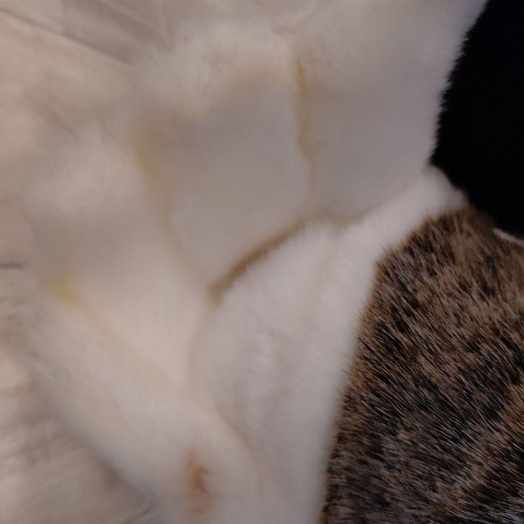 Hansaハクトウワシ ぬいぐるみ ハンサ