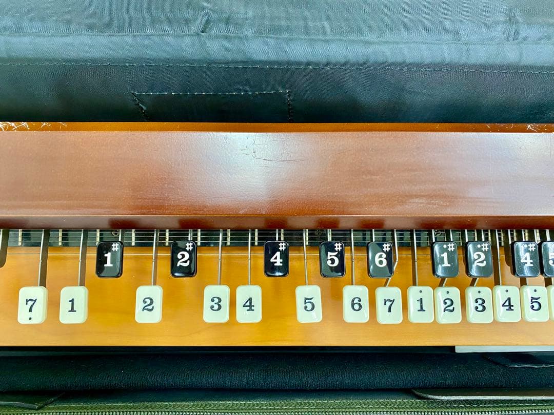 鈴木楽器〝紅葉〟大正琴 ハードケース付