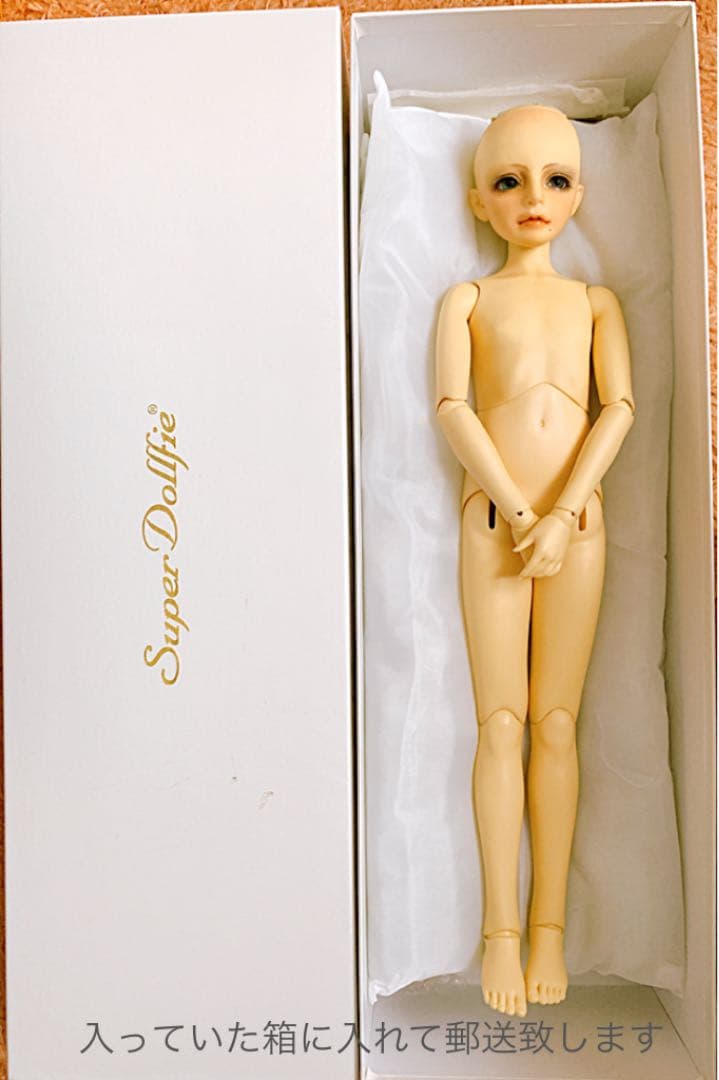 【スーパードルフィー】教室ＡカスタムSDボディ
