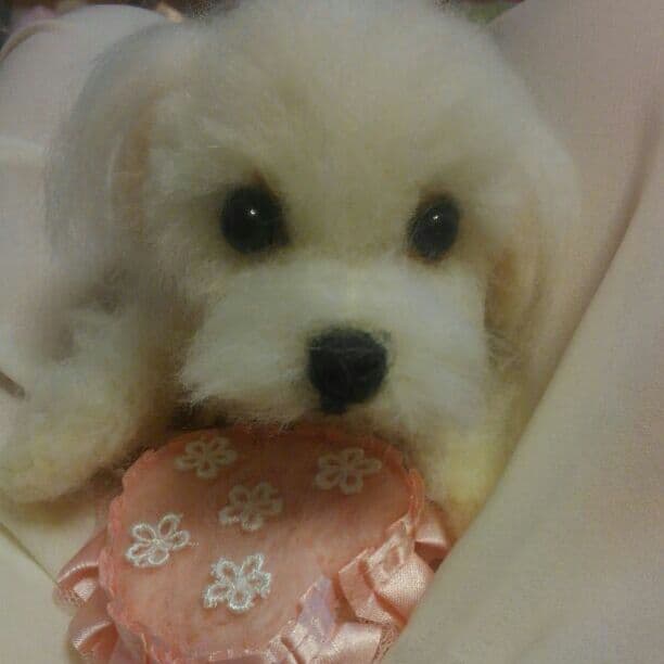 羊毛フェルト　マルプー参考商品です