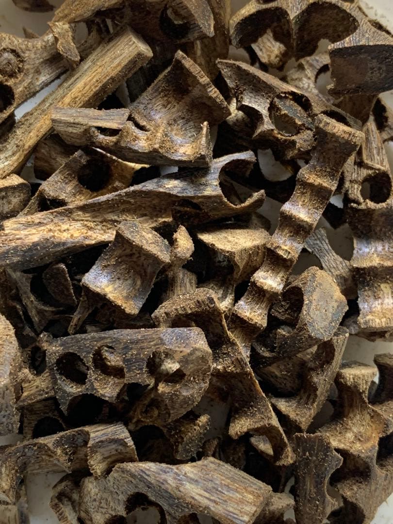 極上緑油伽羅 沈香原木 香木 重さ:50g