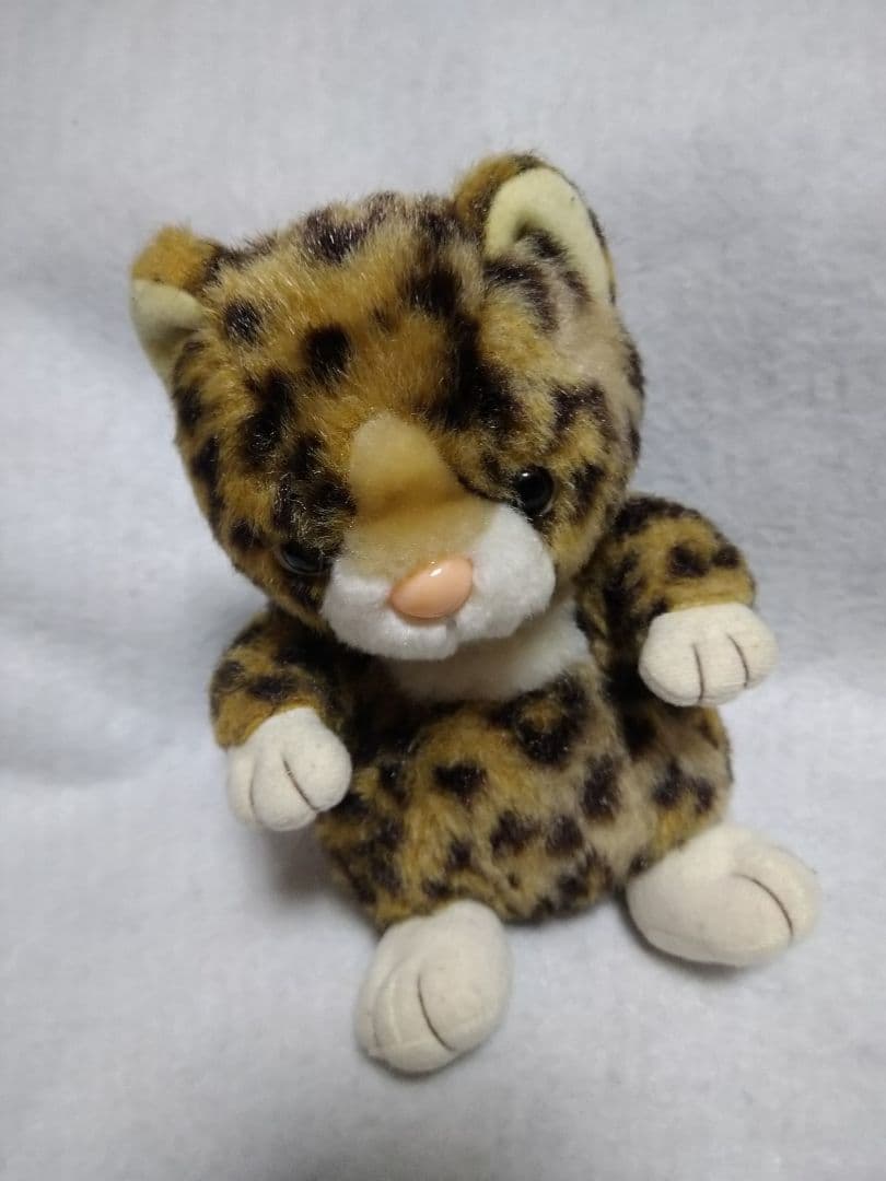 アクア イリオモテヤマネコ 西表山猫 ぬいぐるみ か594 - メルカリ