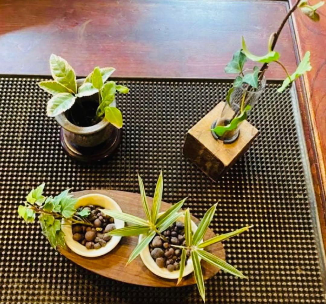 ミニ陶器鉢３点セット・自作付属品付　　一輪挿し・ポット・水耕栽培・観葉　多肉植物