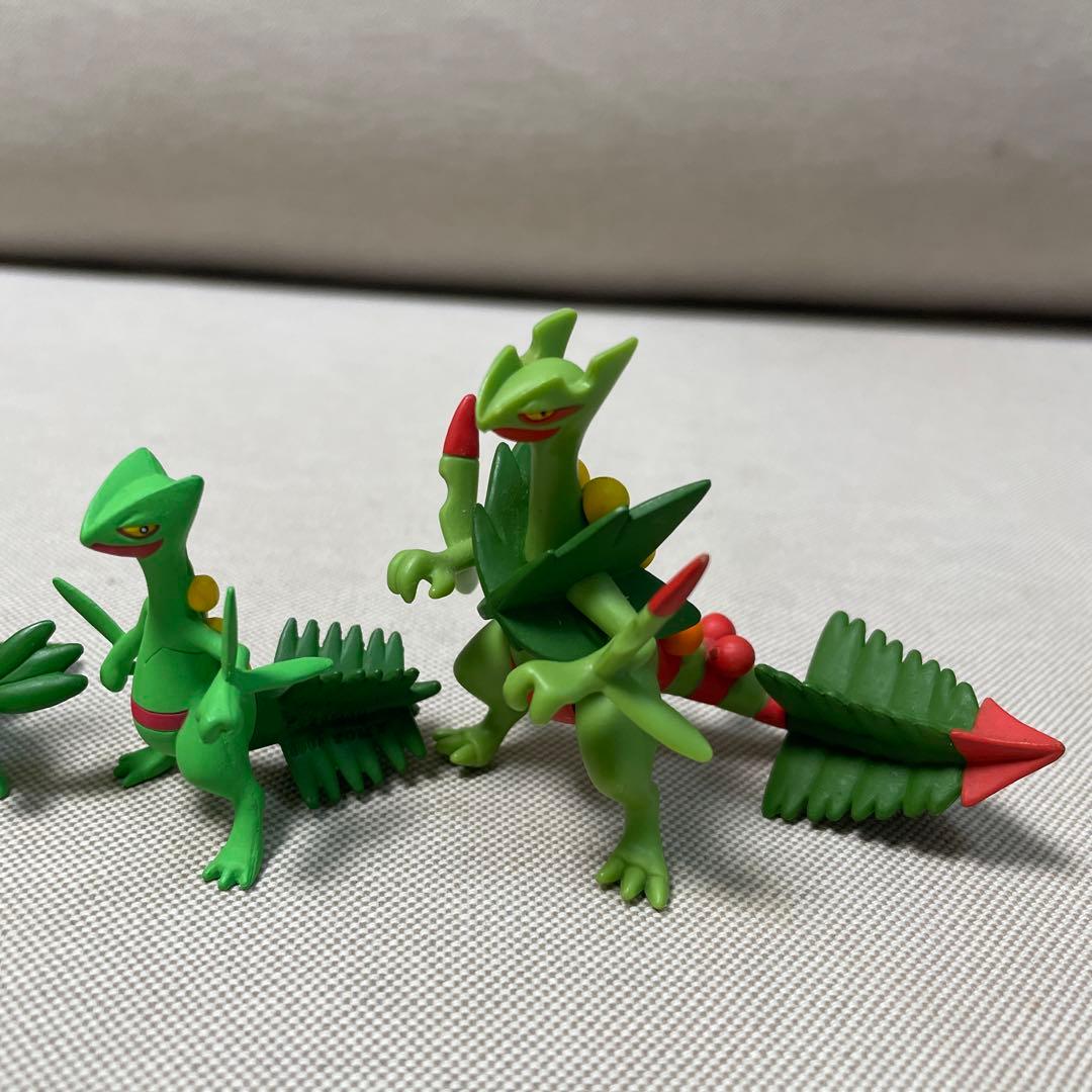 最終値下げ】メガジュカイン レトロ キモリ 進化系統 シリーズ