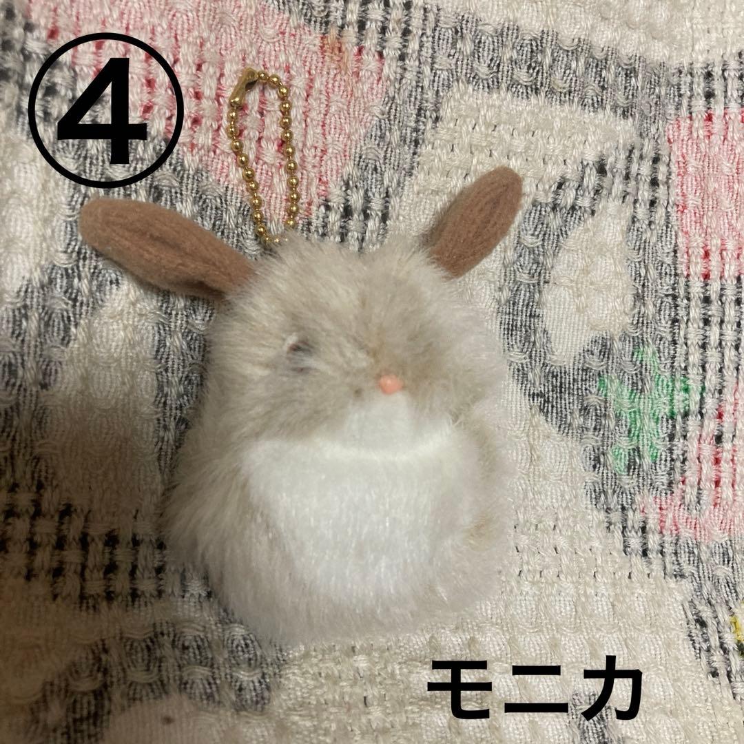 モンスイユ マスコット 6コセット 中古品 - メルカリ