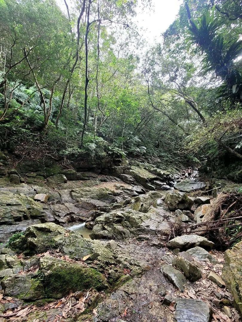 一点限り沖縄ター滝財を手に入れ成功の鶴オルゴネックレス