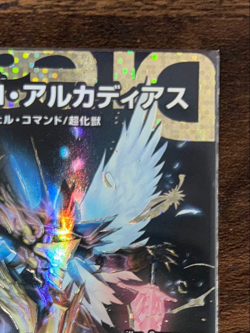 聖霊超王 H・アルカディアス Hアルカディアス シク シークレット