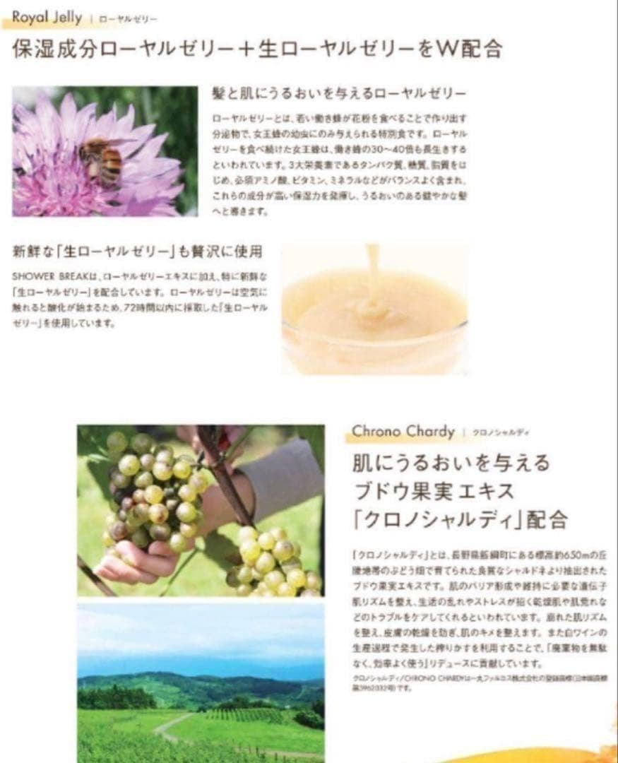 【新品】POLA シャワーブレイク シャンプー10L　ポーラ 10L