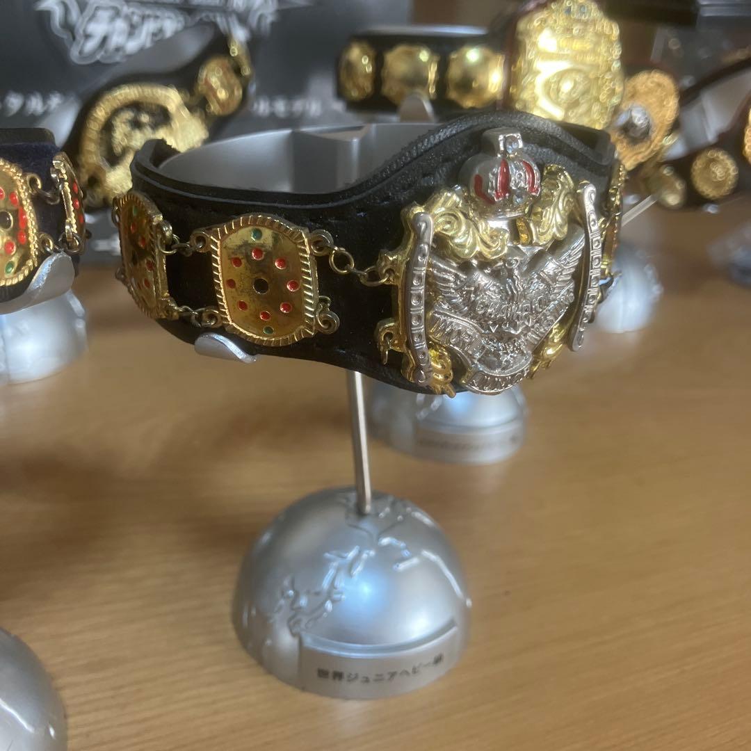 全日本プロレスチャンピオンベルトコレクション10本