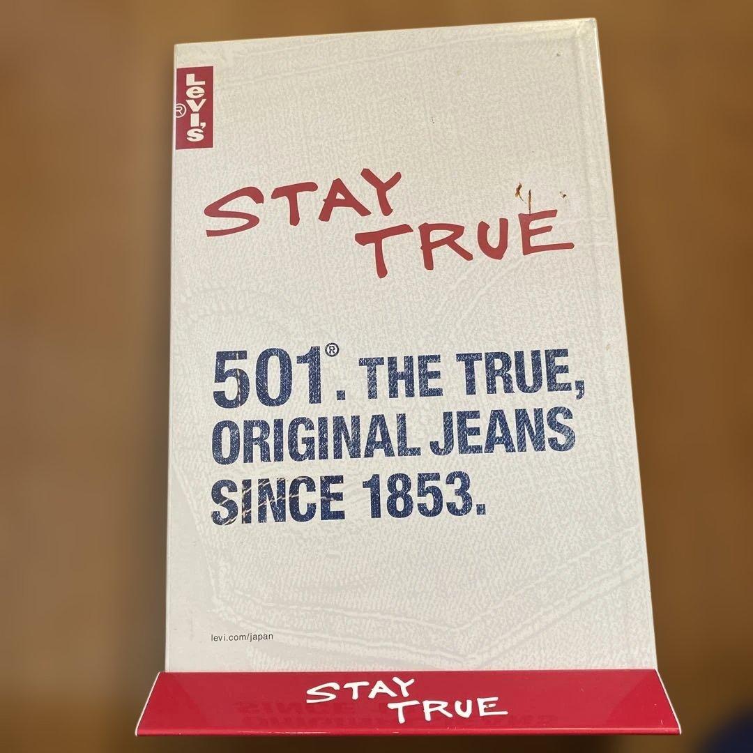 浅井健一 Levi's 501 ポップ STAY TRUE