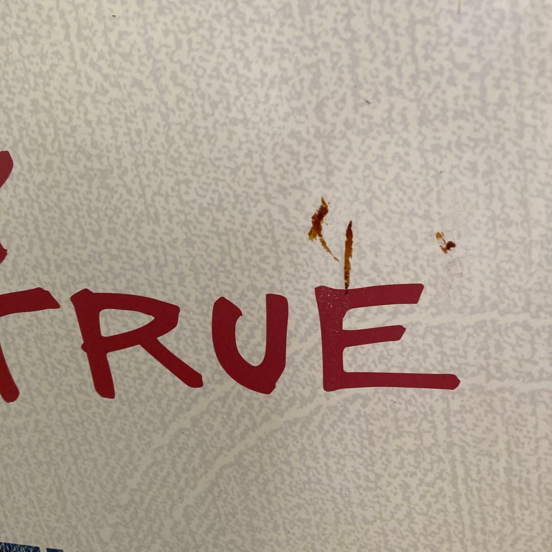 浅井健一 Levi's 501 ポップ STAY TRUE