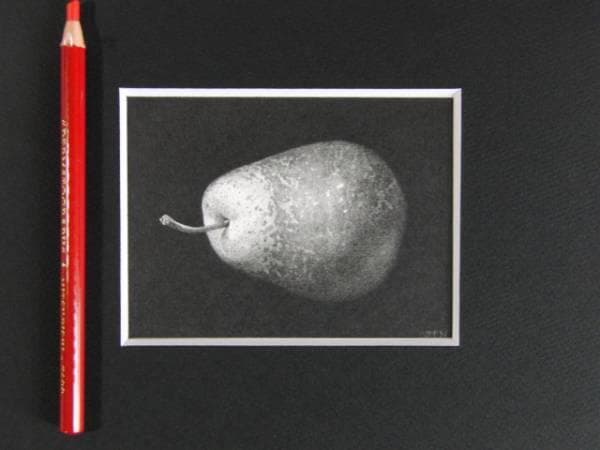 野田 弘志　「洋梨」　細密・鉛筆画集より　新品高級額装付