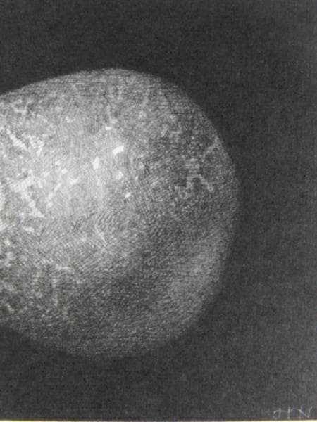 野田 弘志　「洋梨」　細密・鉛筆画集より　新品高級額装付